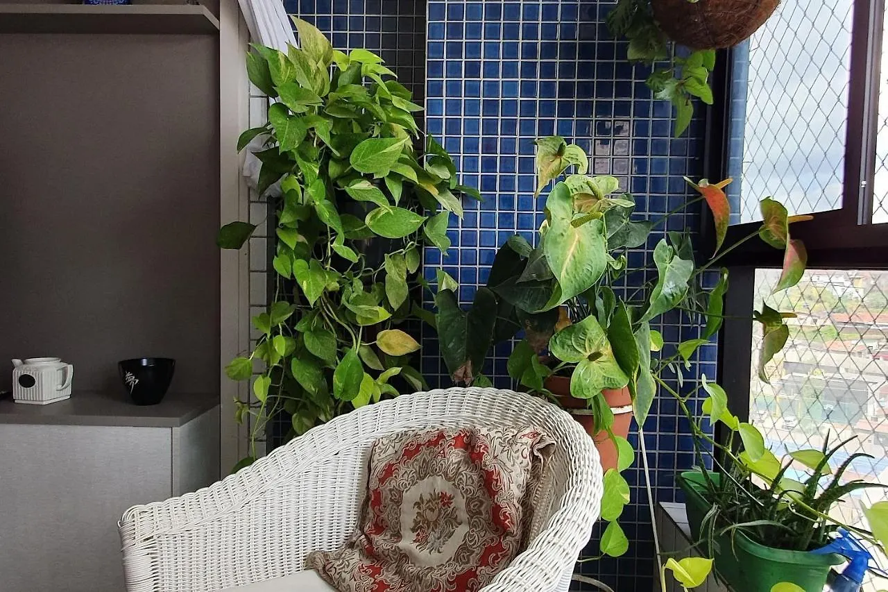 아파트 Apt 2 Quartos Com Varanda Proximo Praca Casa Forte O Bairro Mais Agradavel Do Recife Arn901 브라질