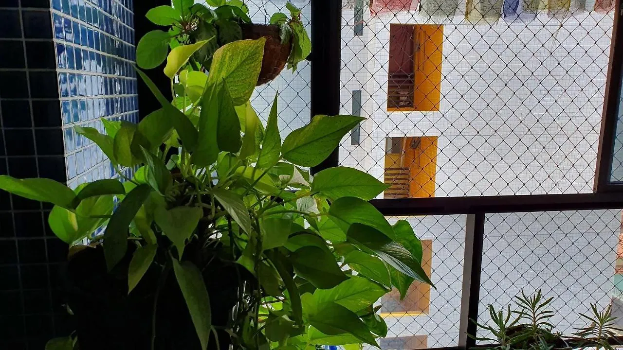 Apartment Apt 2 Quartos Com Varanda Proximo Praca Casa Forte O Bairro Mais Agradavel Do Recife Arn901